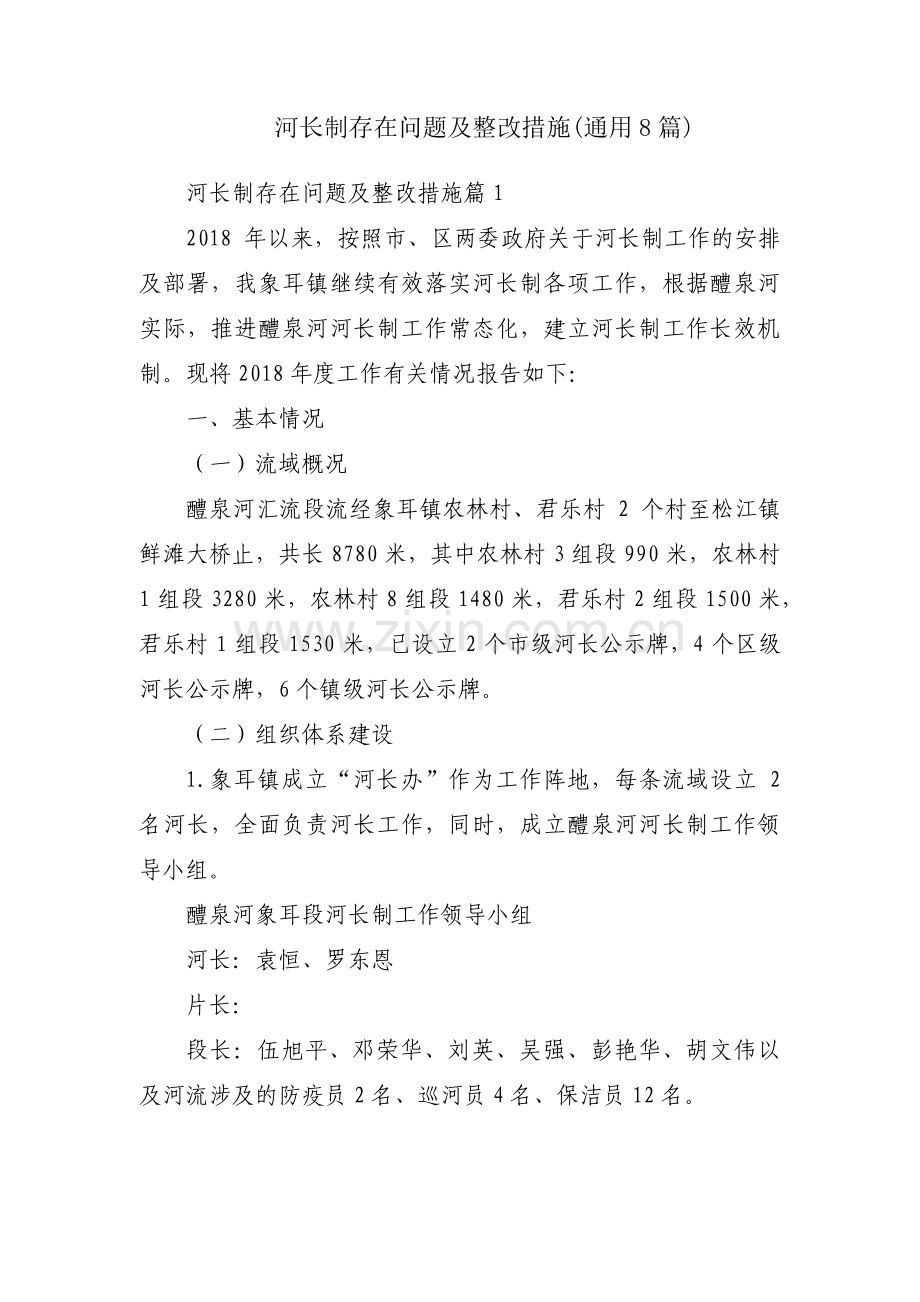 河长制存在问题及整改措施(通用8篇).pdf_第1页