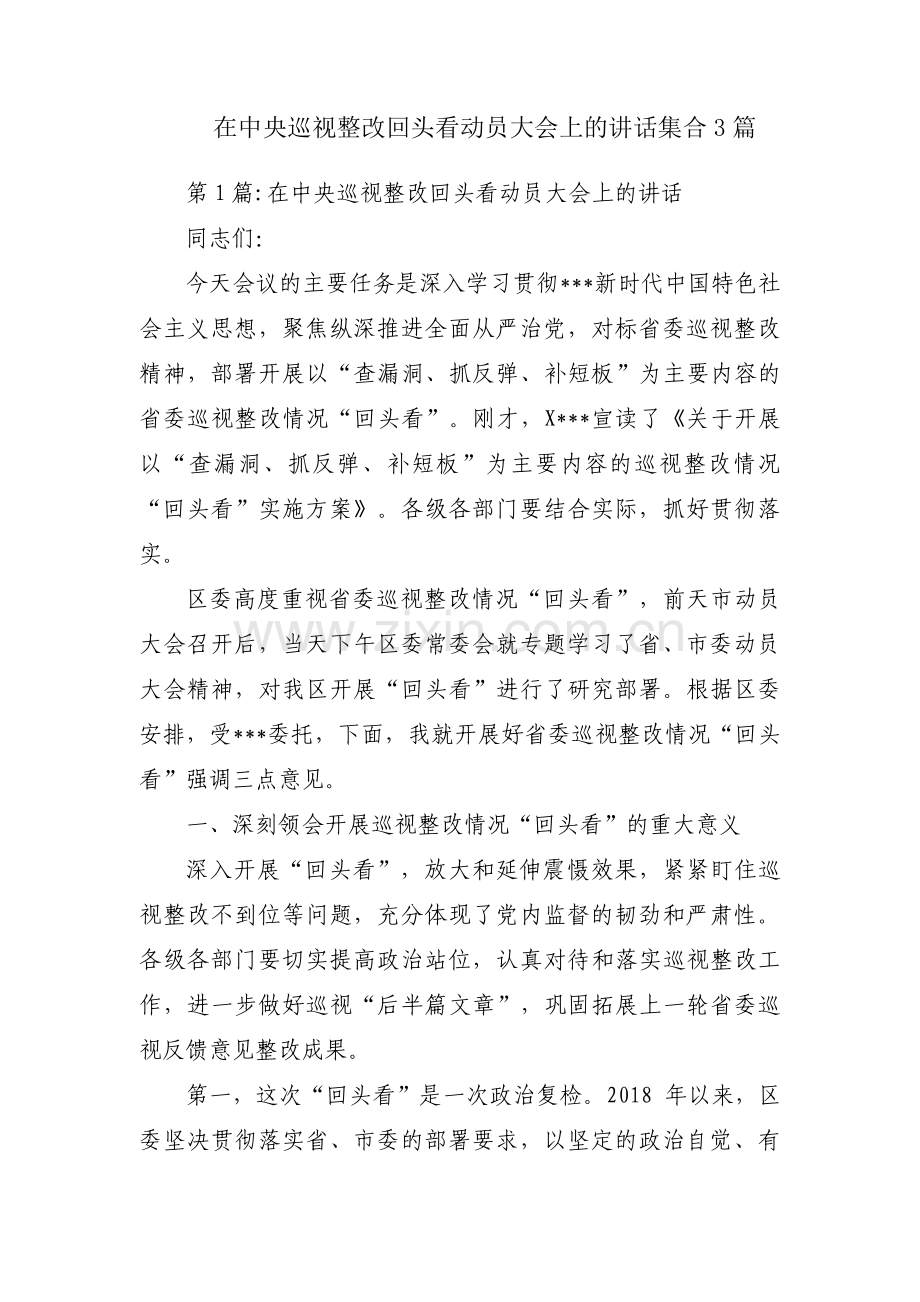 在中央巡视整改回头看动员大会上的讲话集合3篇.pdf_第1页