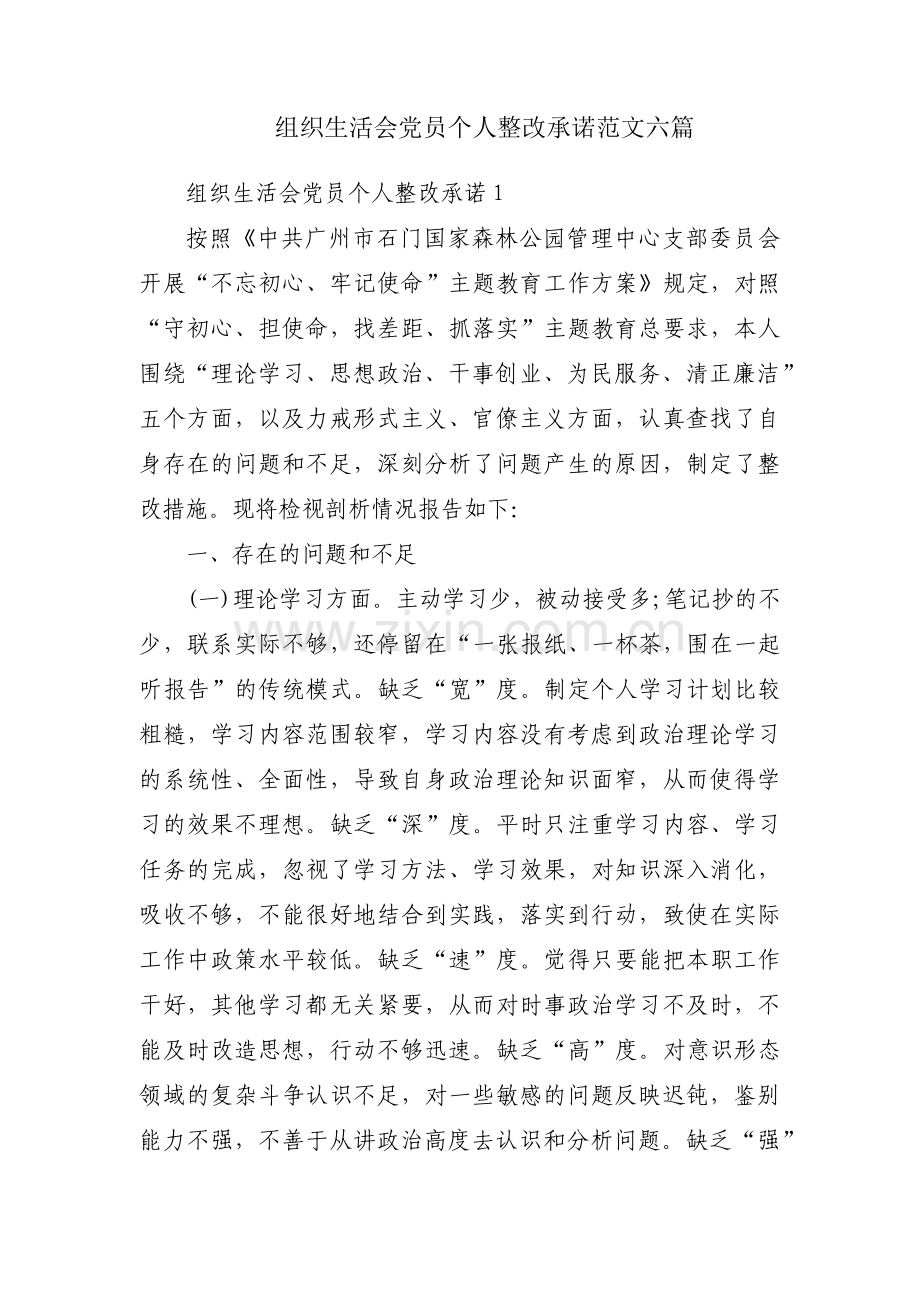 组织生活会党员个人整改承诺范文六篇.pdf_第1页