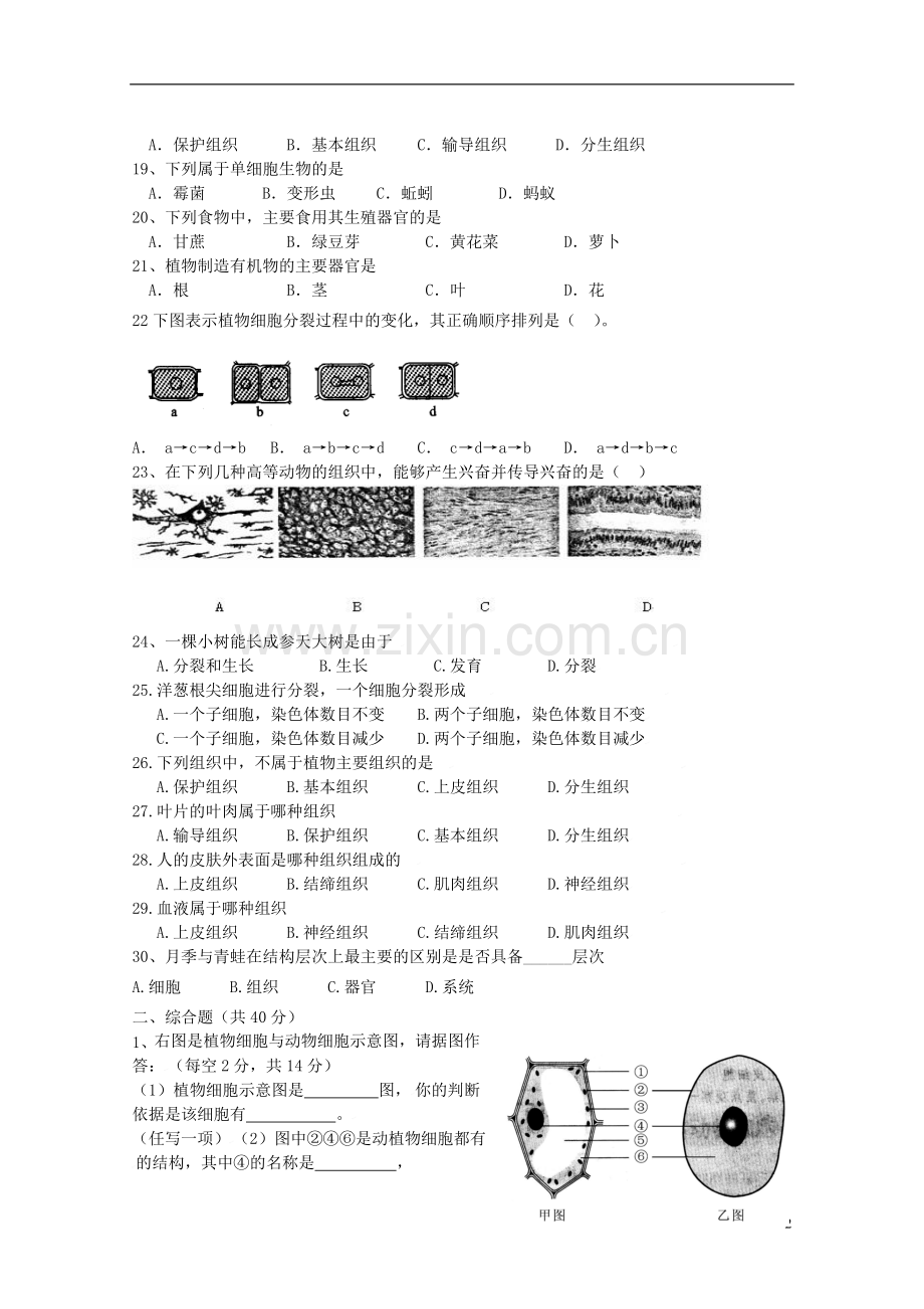 生物复习第二单元综合测试题.doc_第2页