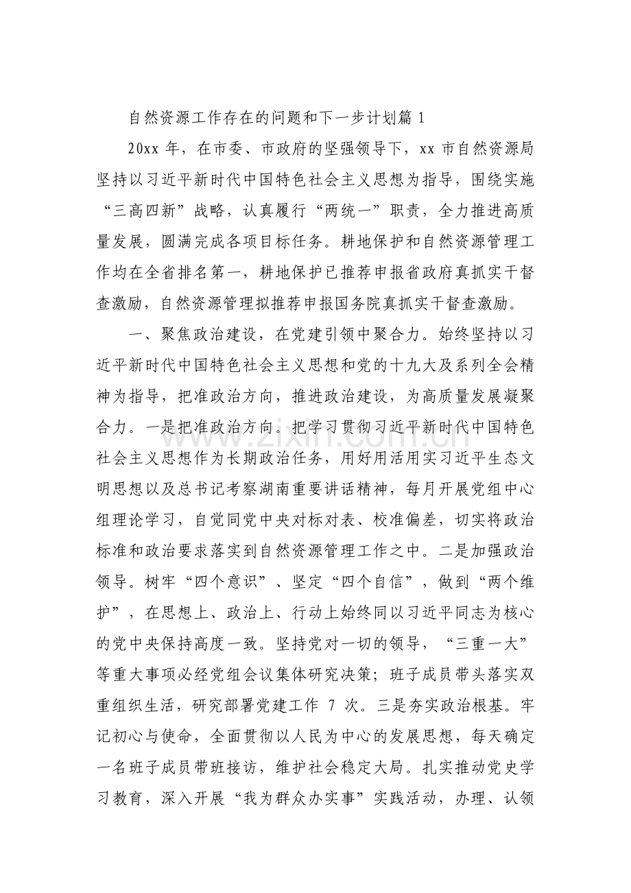 自然资源工作存在的问题和下一步计划范文(通用3篇).pdf_第1页