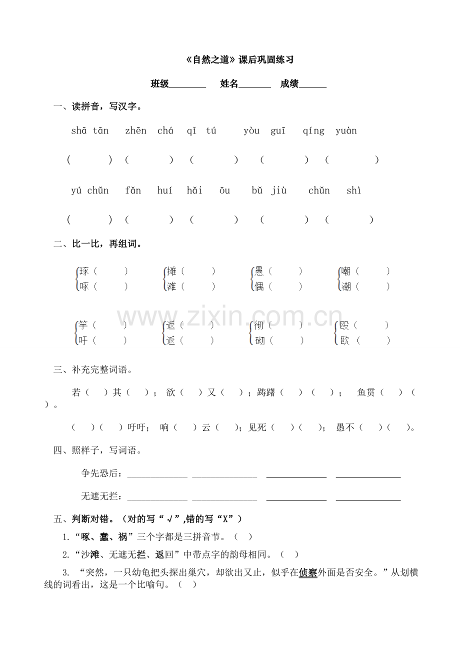 《自然之道》课后巩固练习.doc_第1页