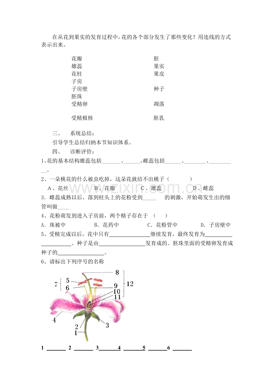 第三节开花和结果.doc_第2页