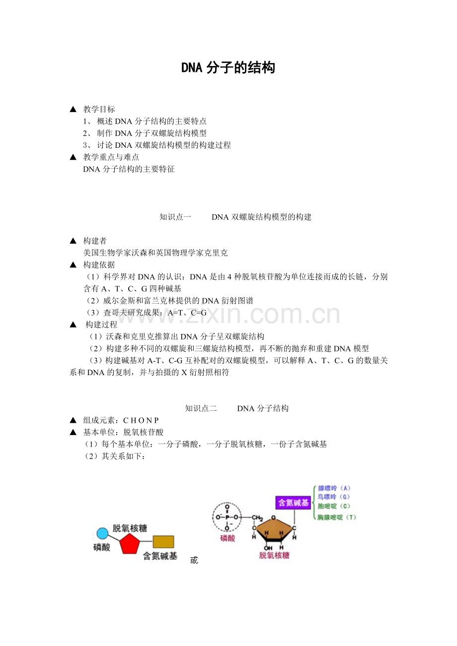 DNA分子结构教案.doc_第1页