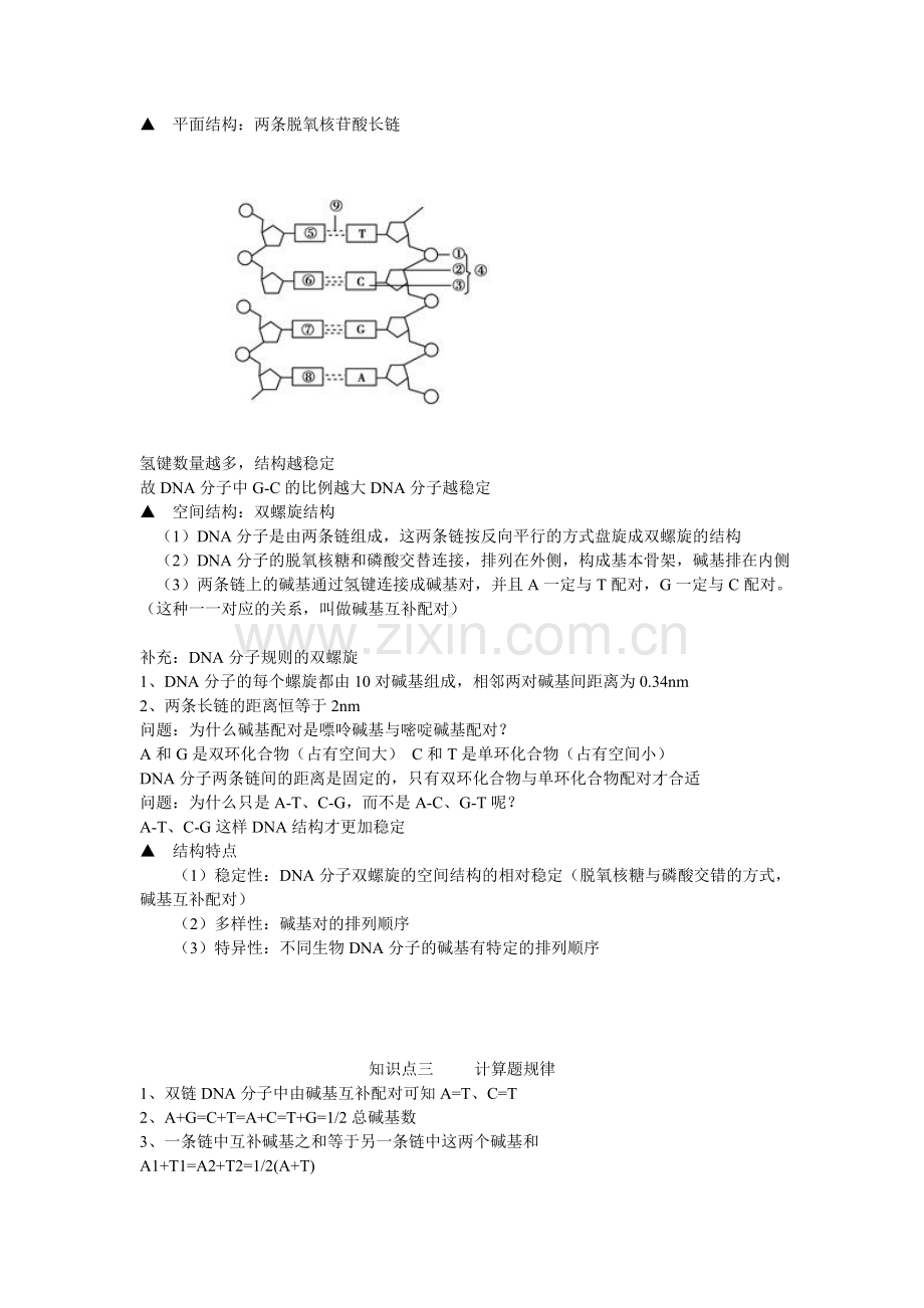 DNA分子结构教案.doc_第2页