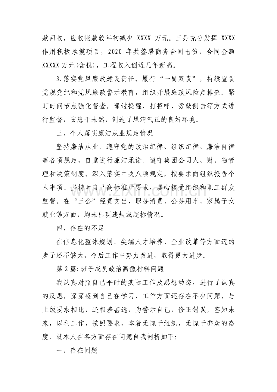 班子成员政治画像材料问题(通用3篇).pdf_第2页