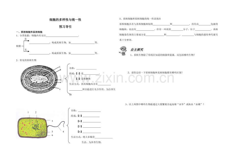 细胞的多样性和统一性.doc_第1页