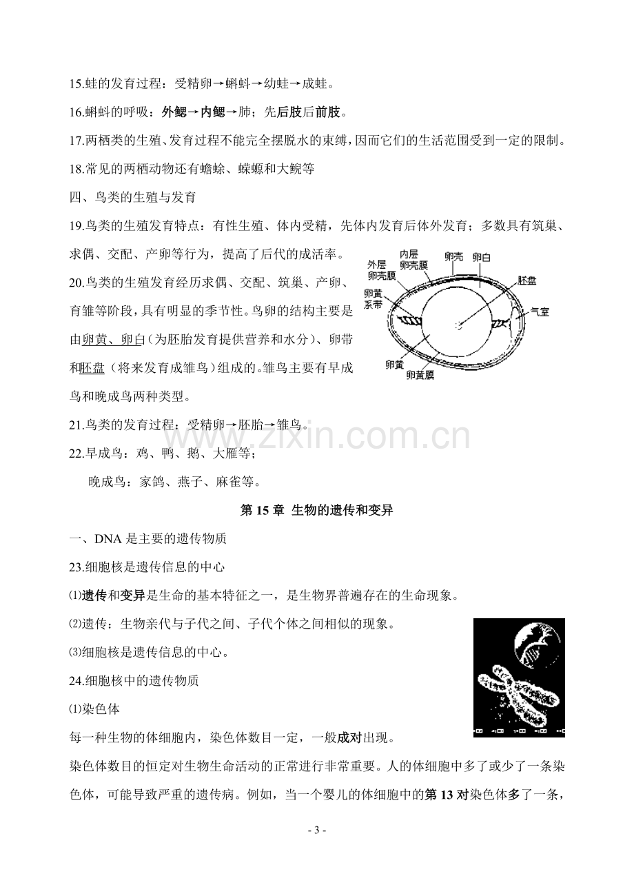 苏教版初中生物毕业会考复习资料---八年级全册知识点.doc_第3页