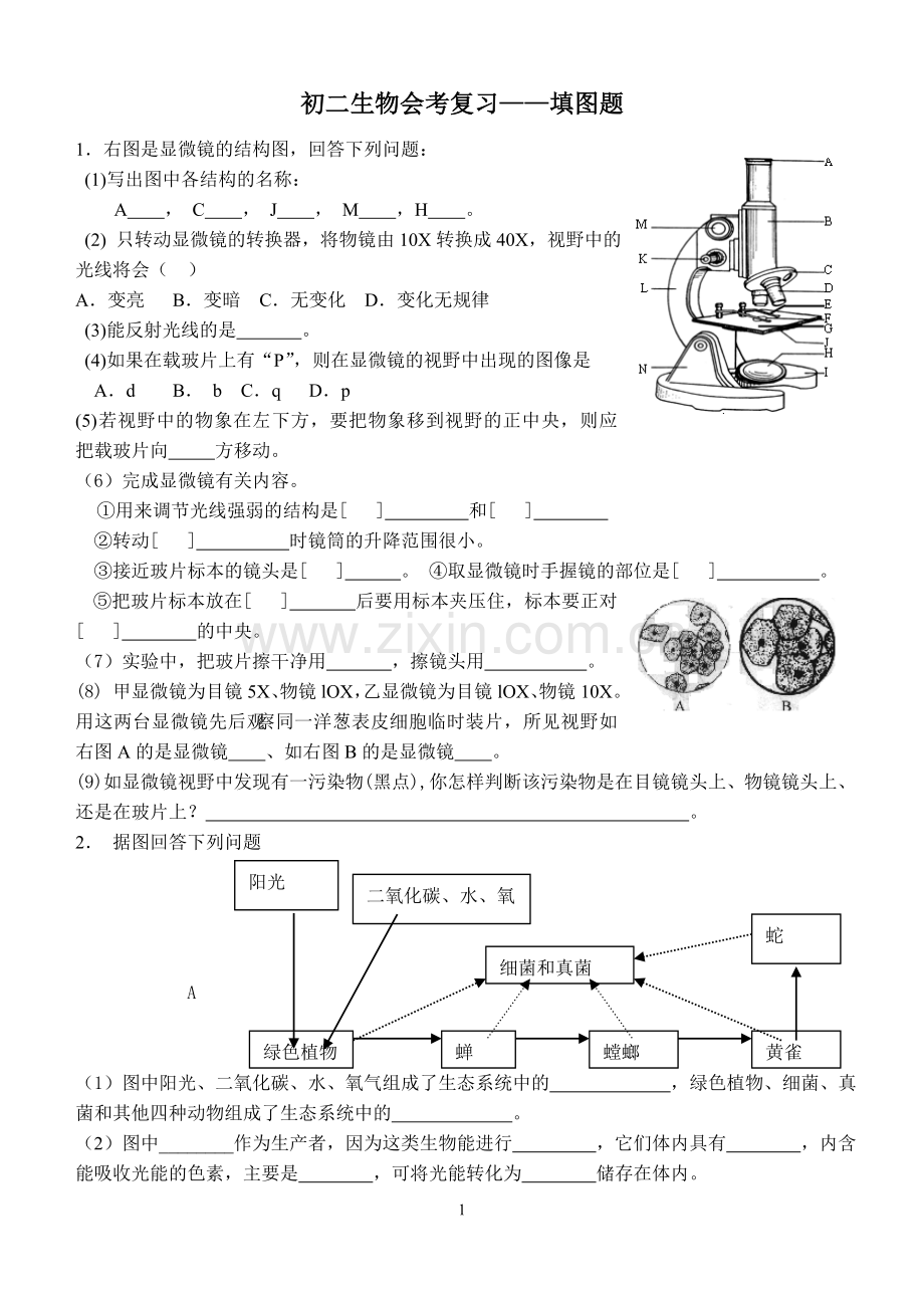 初二生物会考复习——填图题.doc_第1页