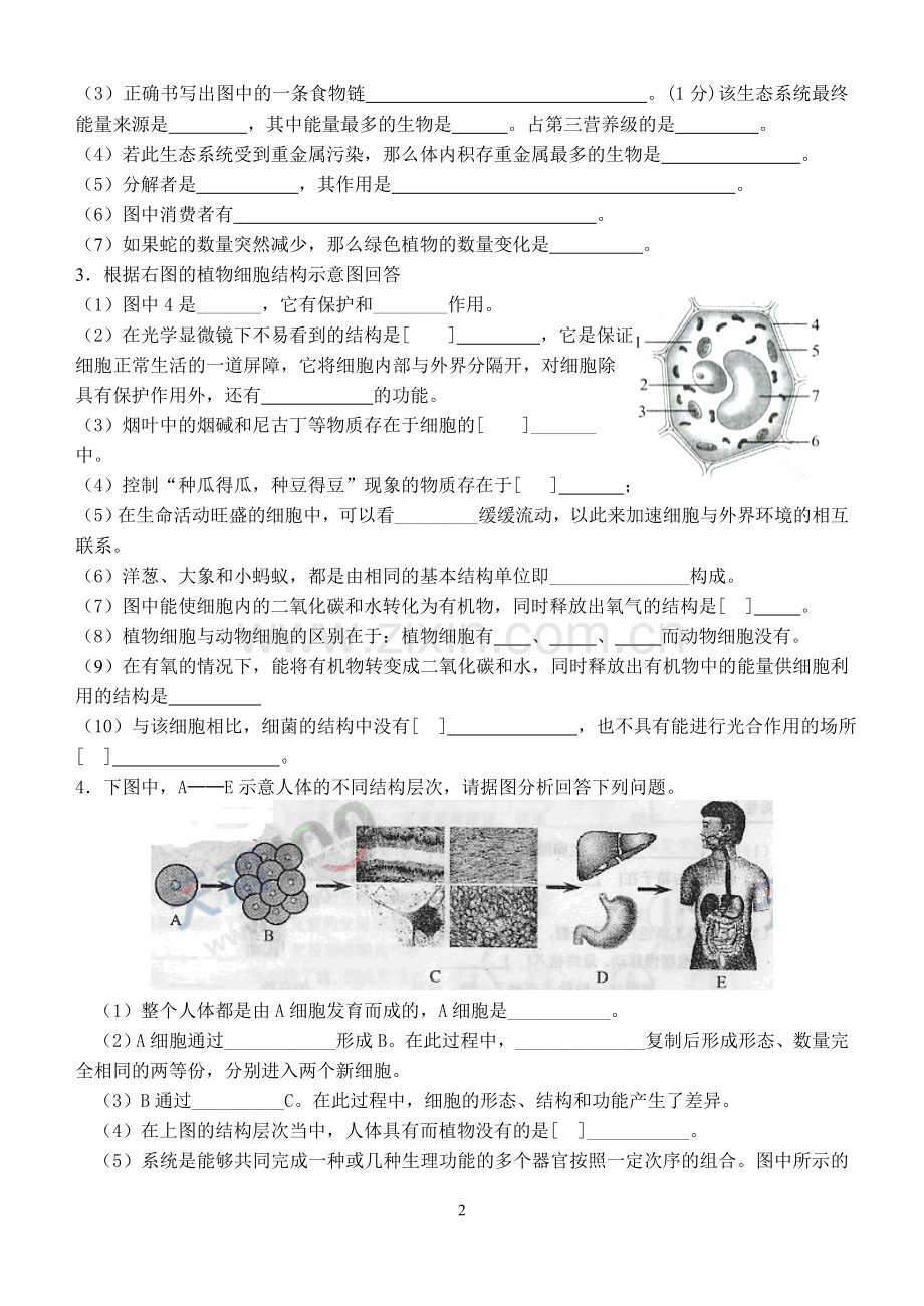 初二生物会考复习——填图题.doc_第2页