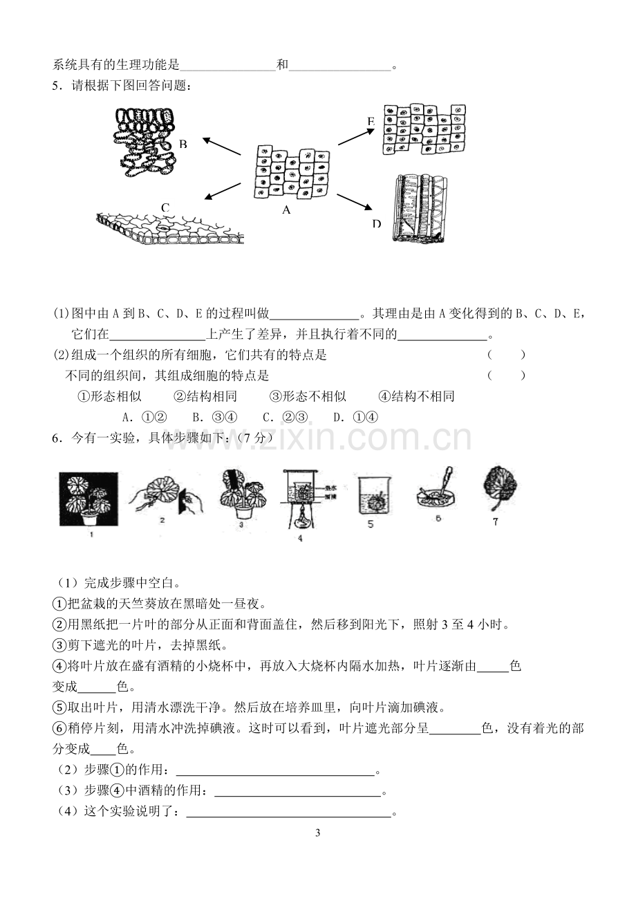 初二生物会考复习——填图题.doc_第3页