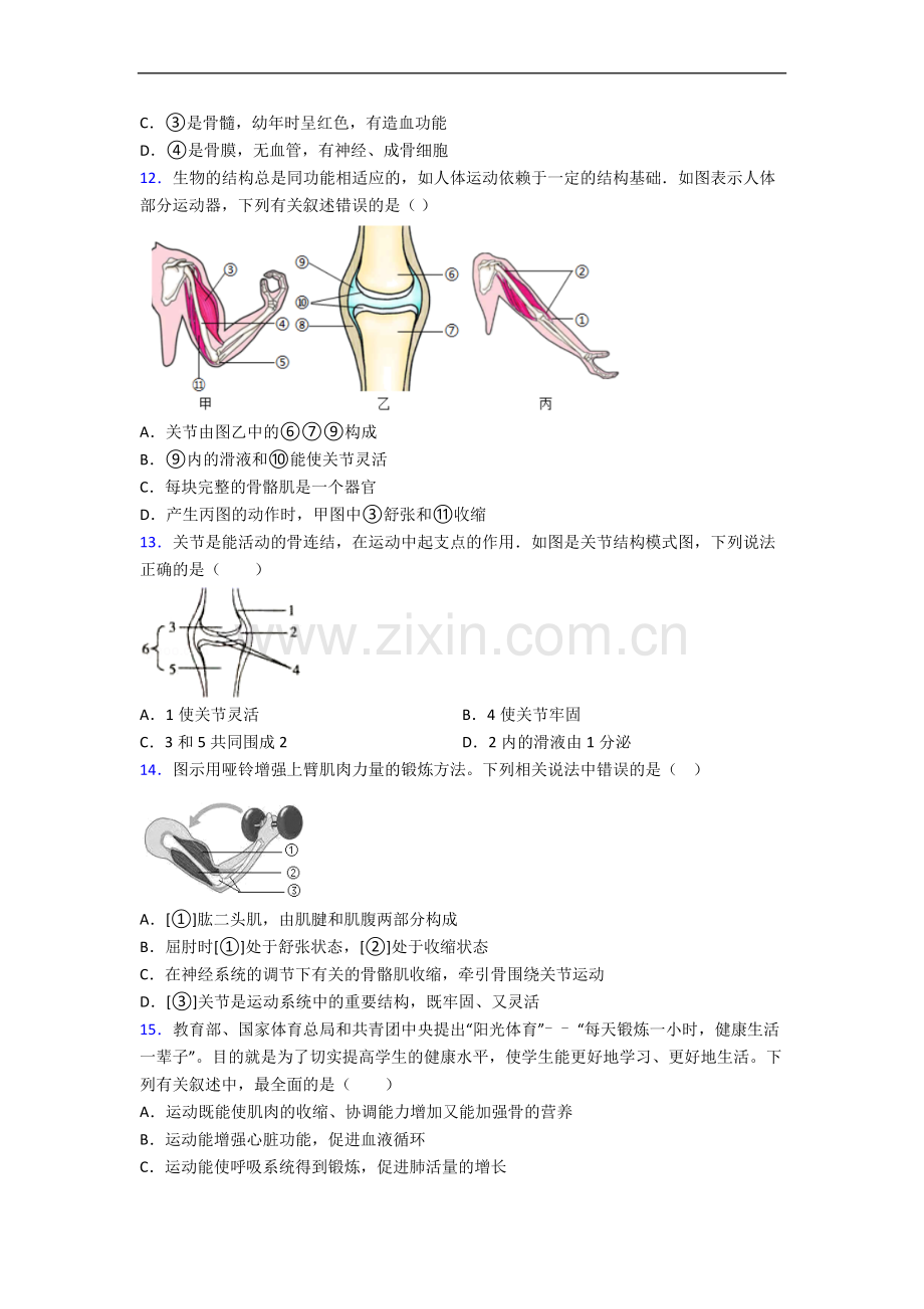 南京市人教版八年级上册期末生物期末试卷及答案.doc_第3页