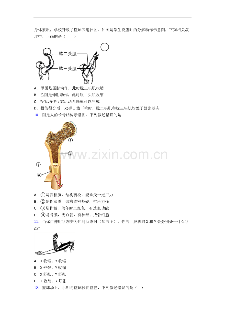 人教版八年级上册期中生物期中试卷及答案.doc_第2页