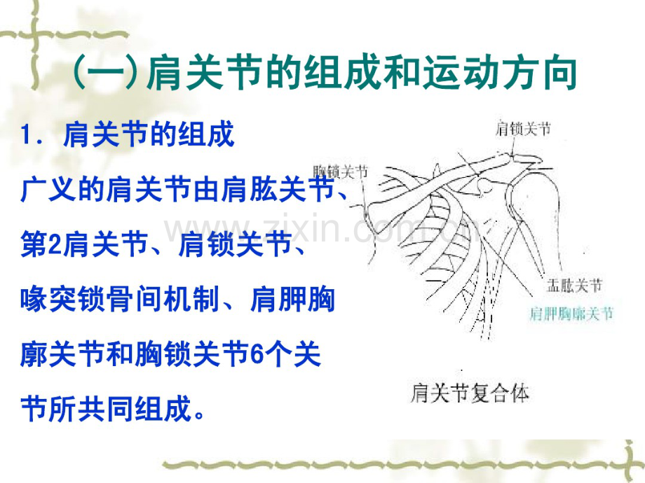 肩关节运动学(20190831082229).pdf_第2页