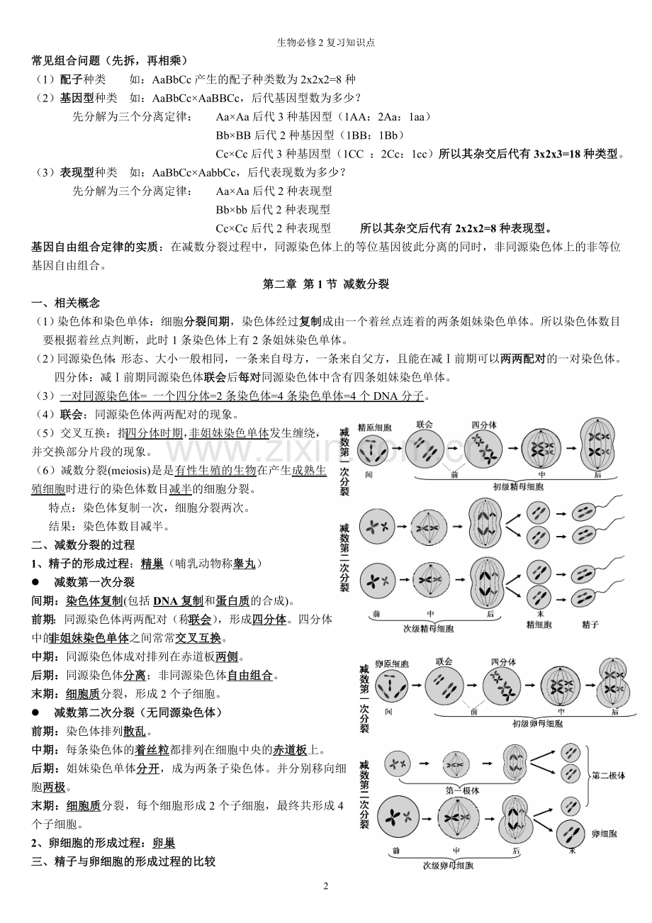 转高中生物必修二知识点总结.doc_第2页