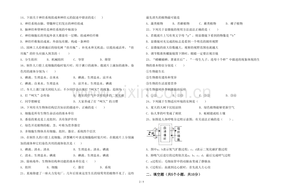 人教版七年级上册《生物》期末考试题.doc_第2页