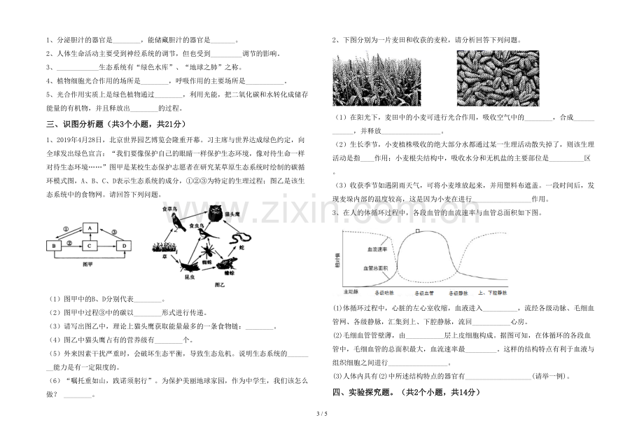 人教版七年级上册《生物》期末考试题.doc_第3页