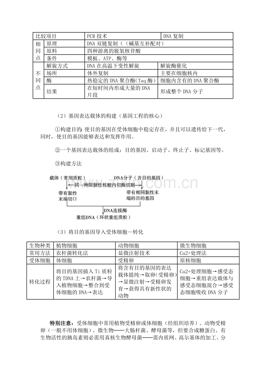 基因工程与蛋白质工程复习.doc_第2页