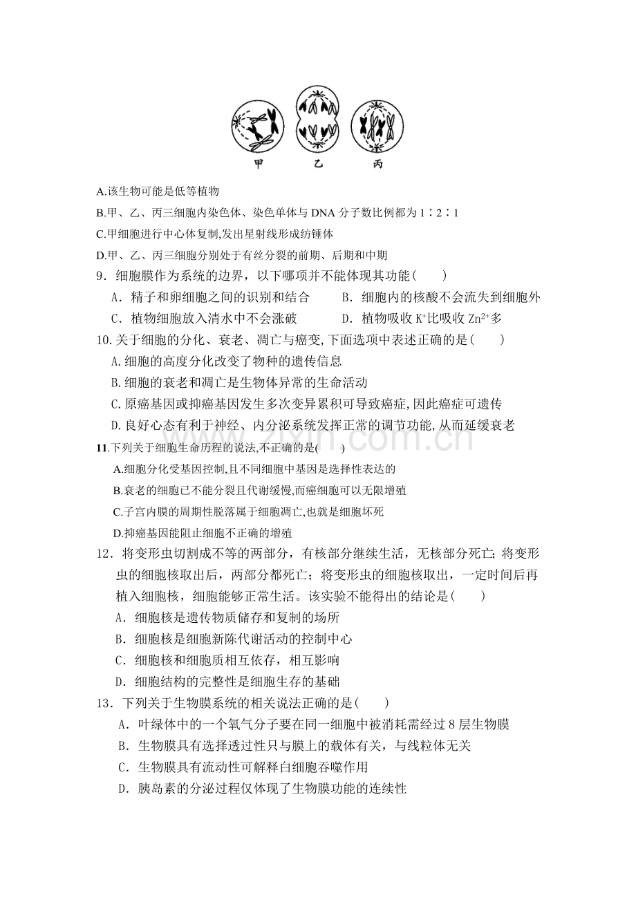 高一上册生物复习题.doc_第2页