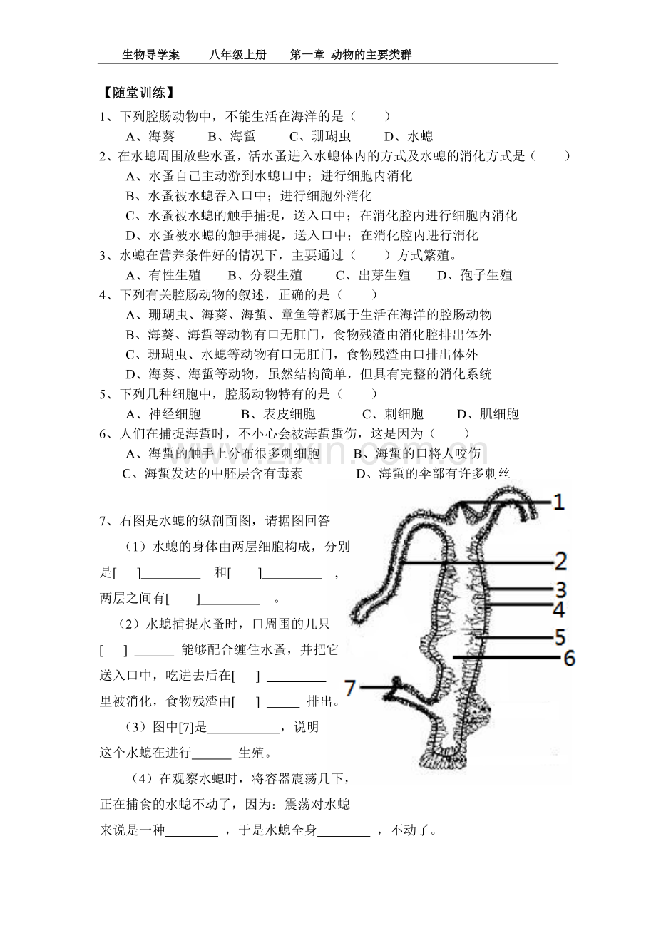 八年级上册第一节腔肠动物和扁形动物（导学案）.doc_第2页