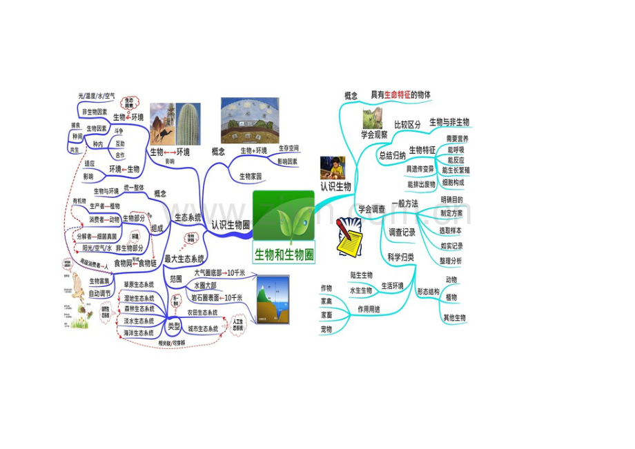 初中生物思维导图.docx_第1页