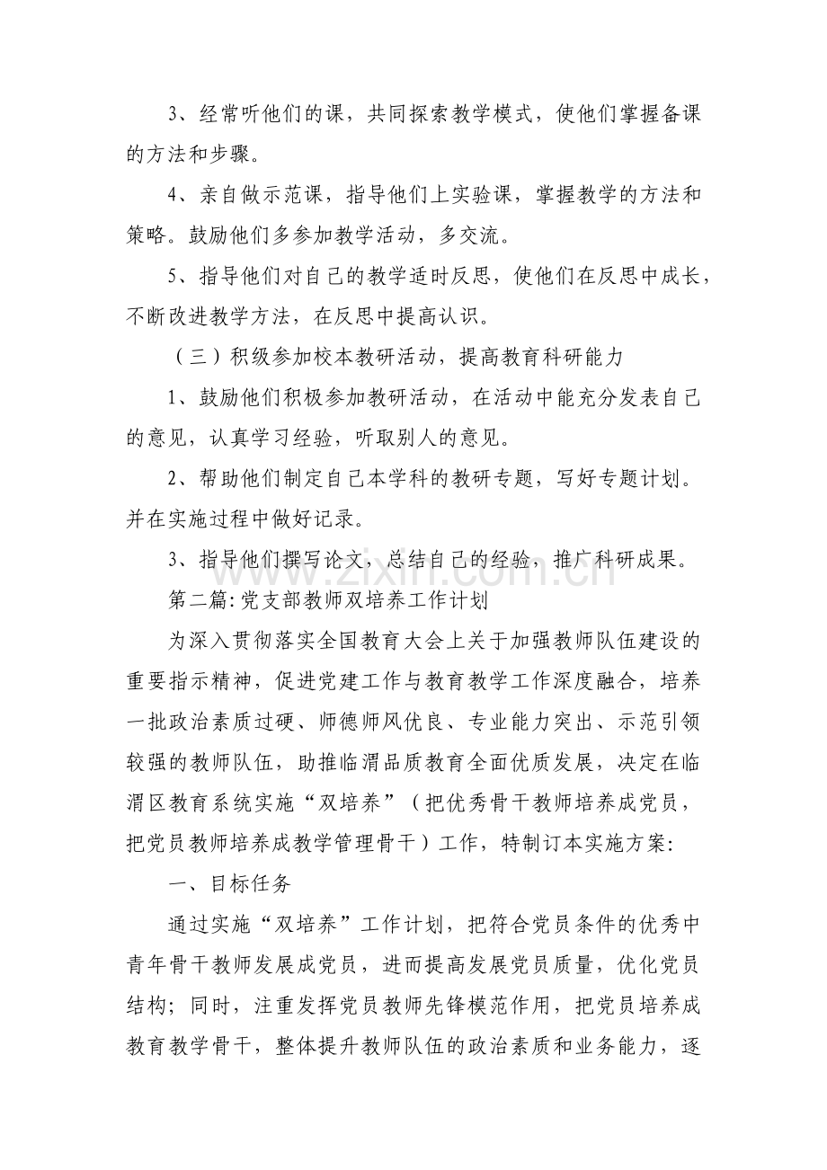 党支部教师双培养工作计划范文十四篇.pdf_第2页