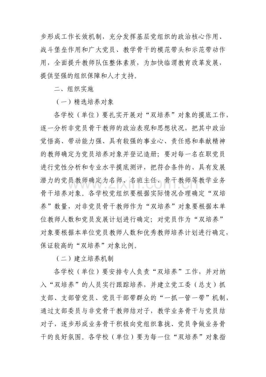 党支部教师双培养工作计划范文十四篇.pdf_第3页