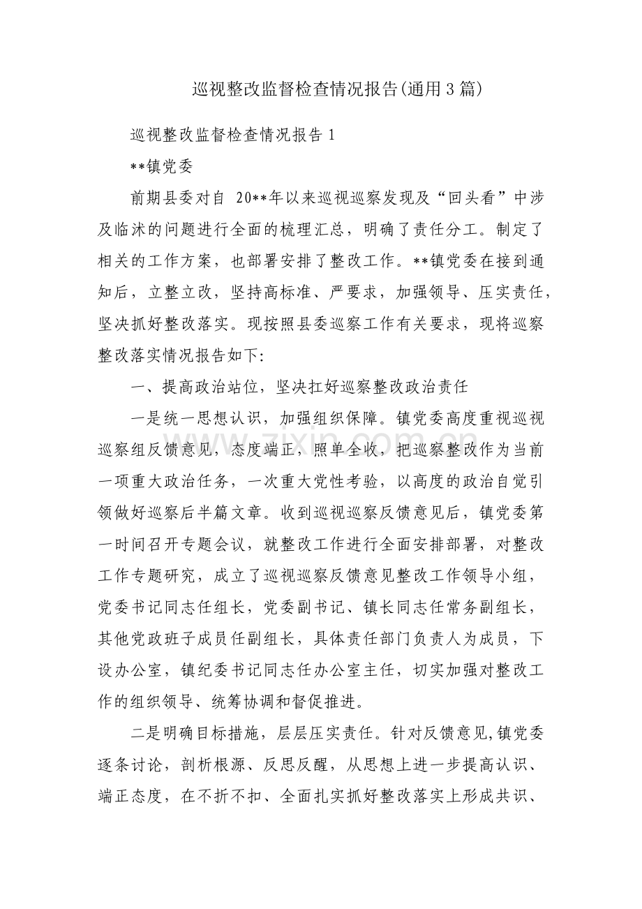 巡视整改监督检查情况报告(通用3篇).pdf_第1页