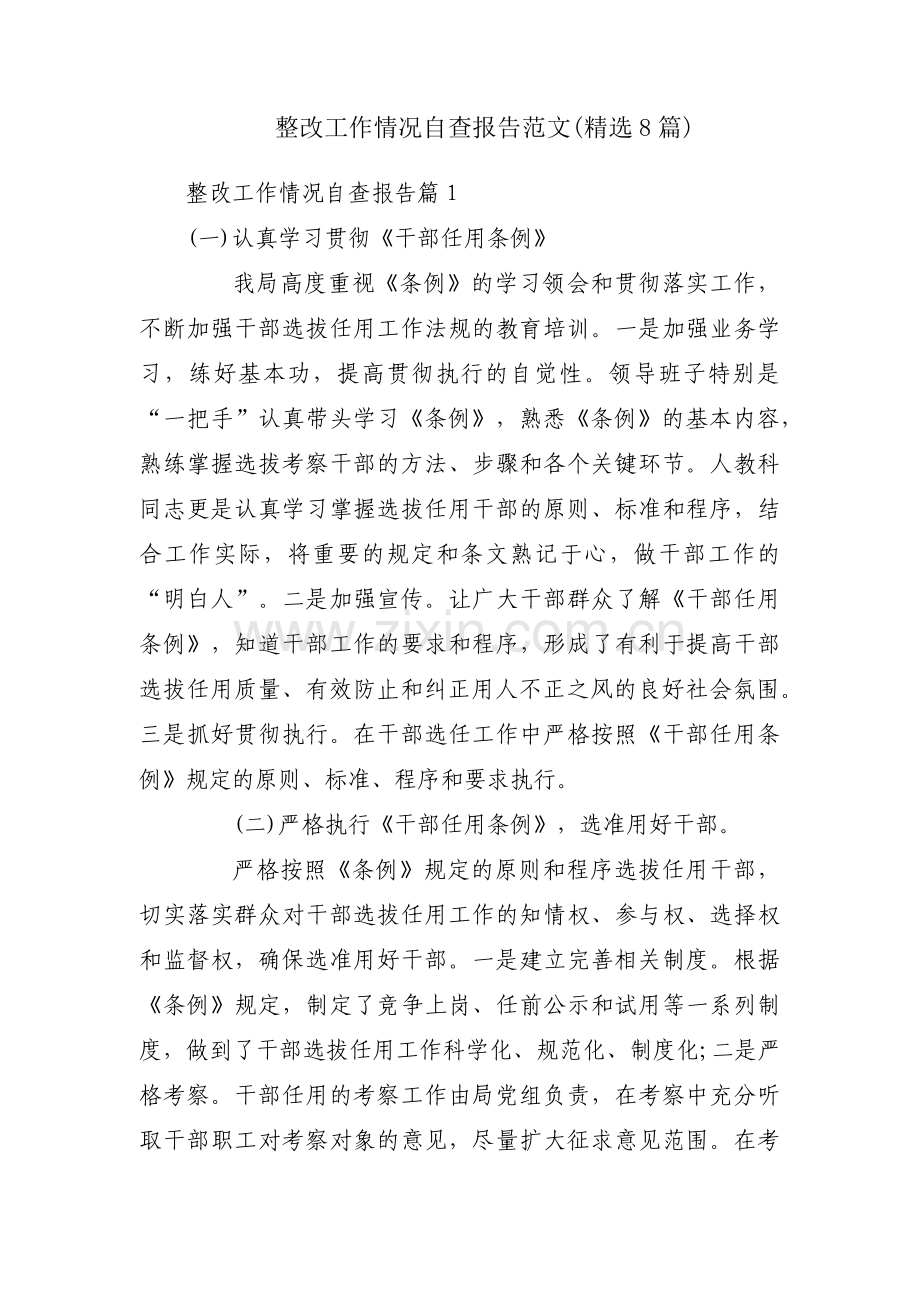 整改工作情况自查报告范文(8篇).pdf_第1页