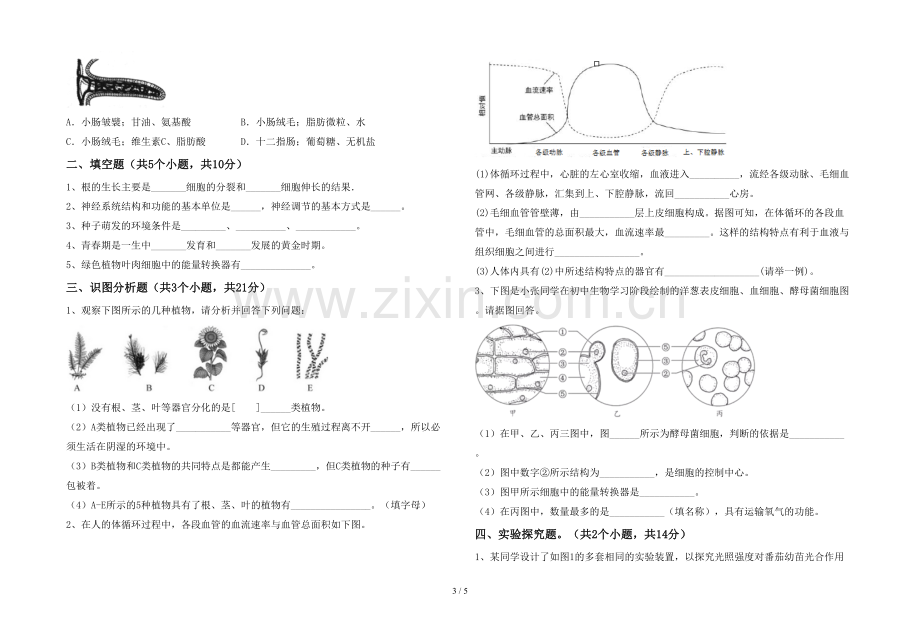 苏教版七年级《生物》上册期末试卷【及答案】.doc_第3页