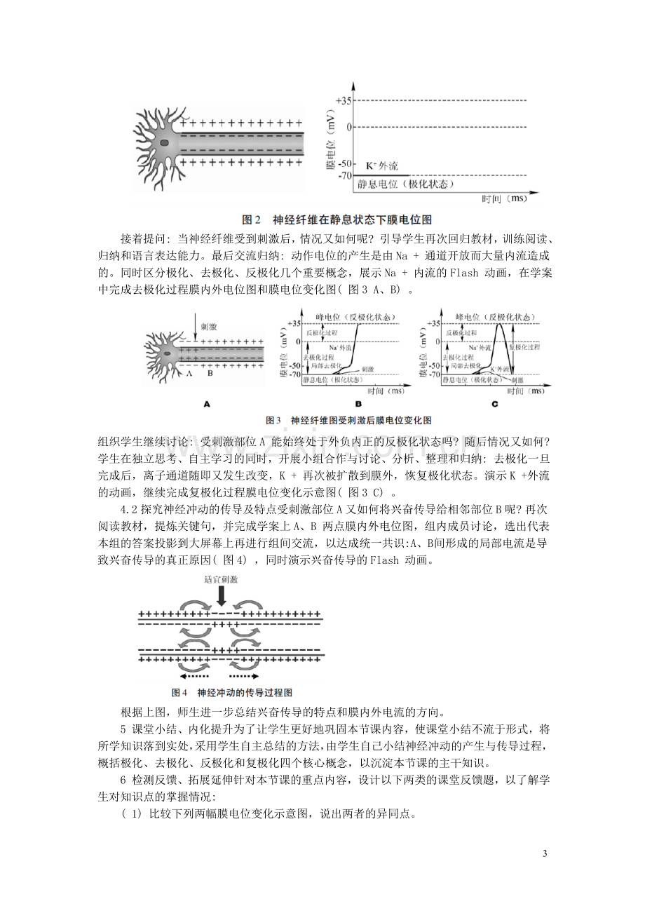 神经系统的结构与功能说课稿.doc_第3页