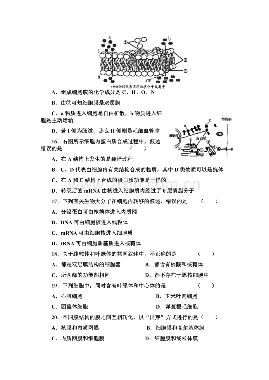 全章复习与测试.doc_第3页