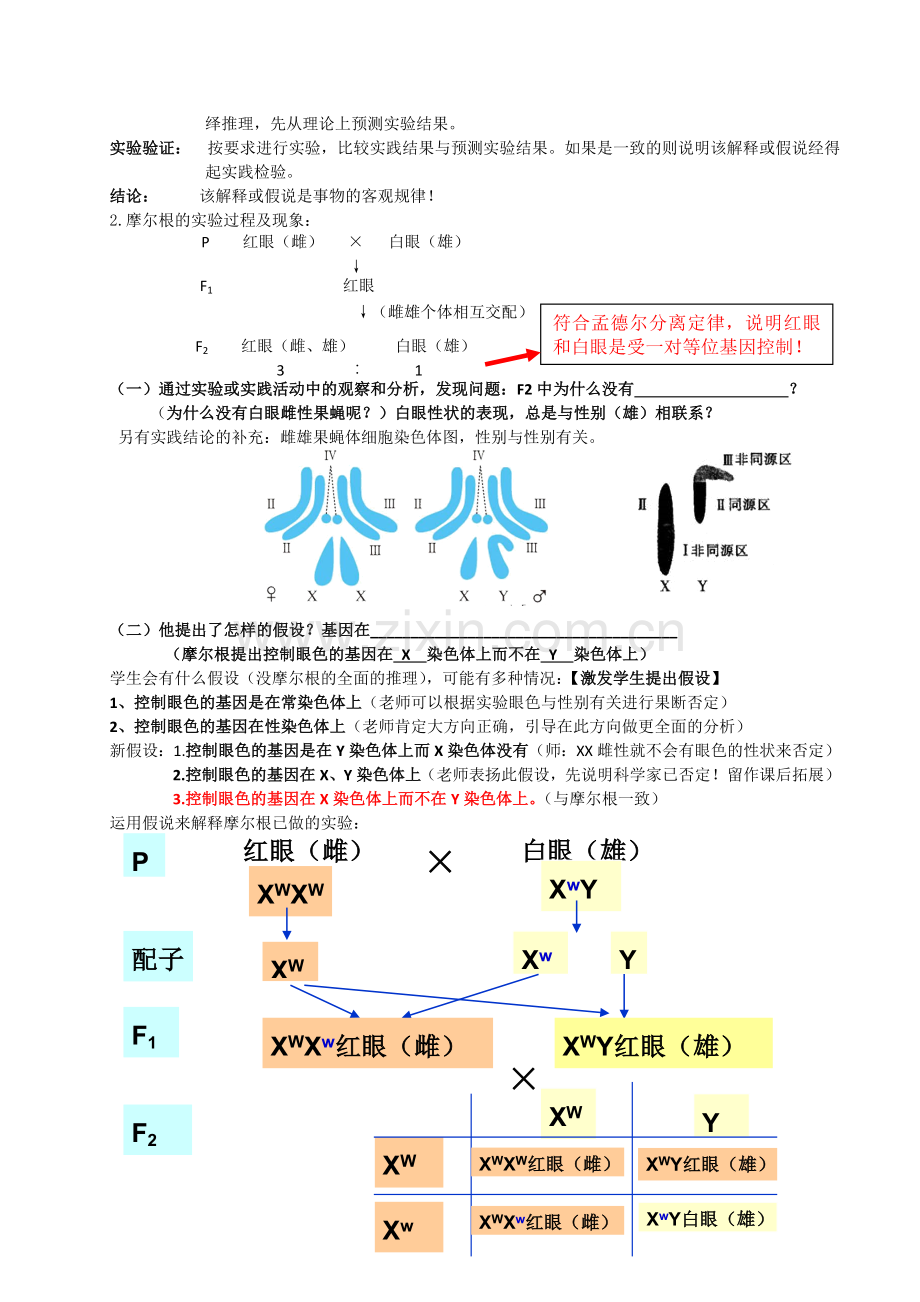 基因在染色体上(教学设计)卢彦军.doc_第3页