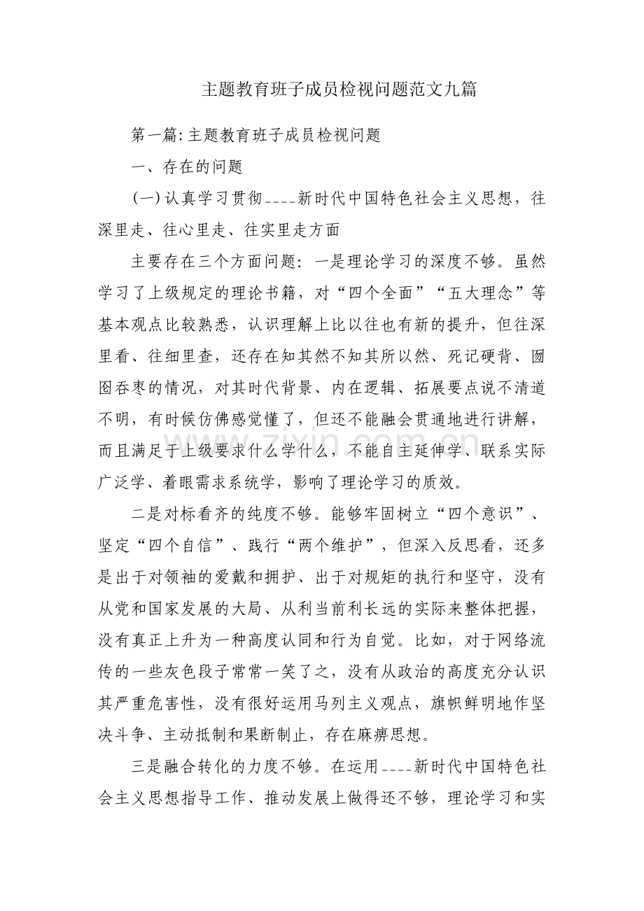 主题教育班子成员检视问题范文九篇.pdf_第1页