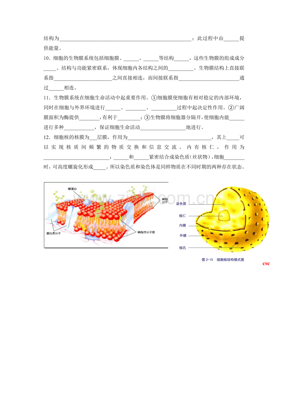 细胞的基本结构复习导学案.doc_第2页