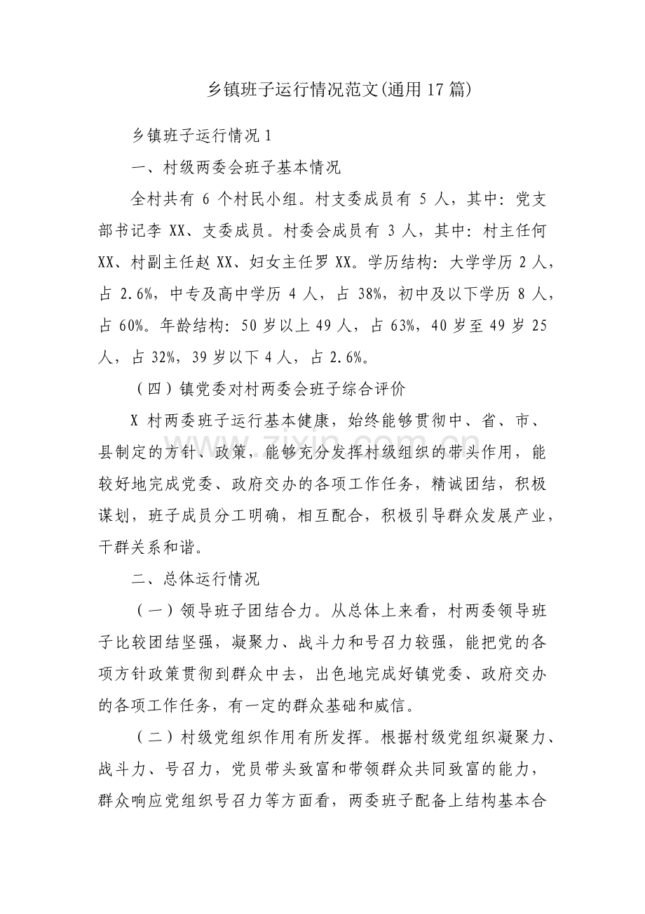 乡镇班子运行情况范文(通用17篇).pdf_第1页