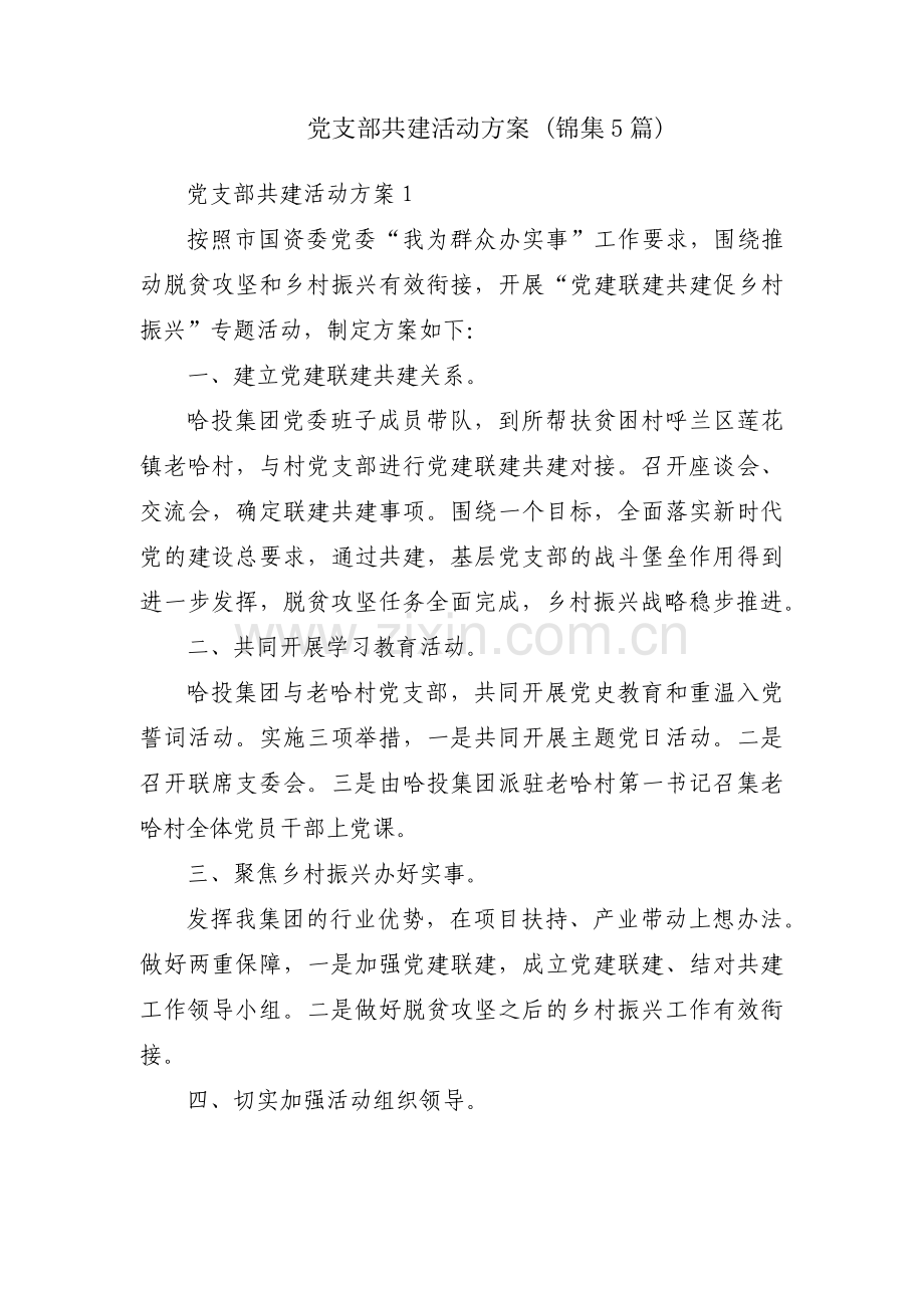 党支部共建活动方案 (锦集5篇).pdf_第1页