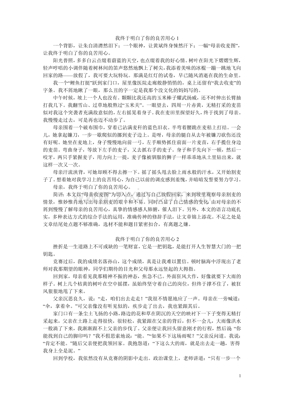 作文我终于明白了你的良苦用心.doc_第1页