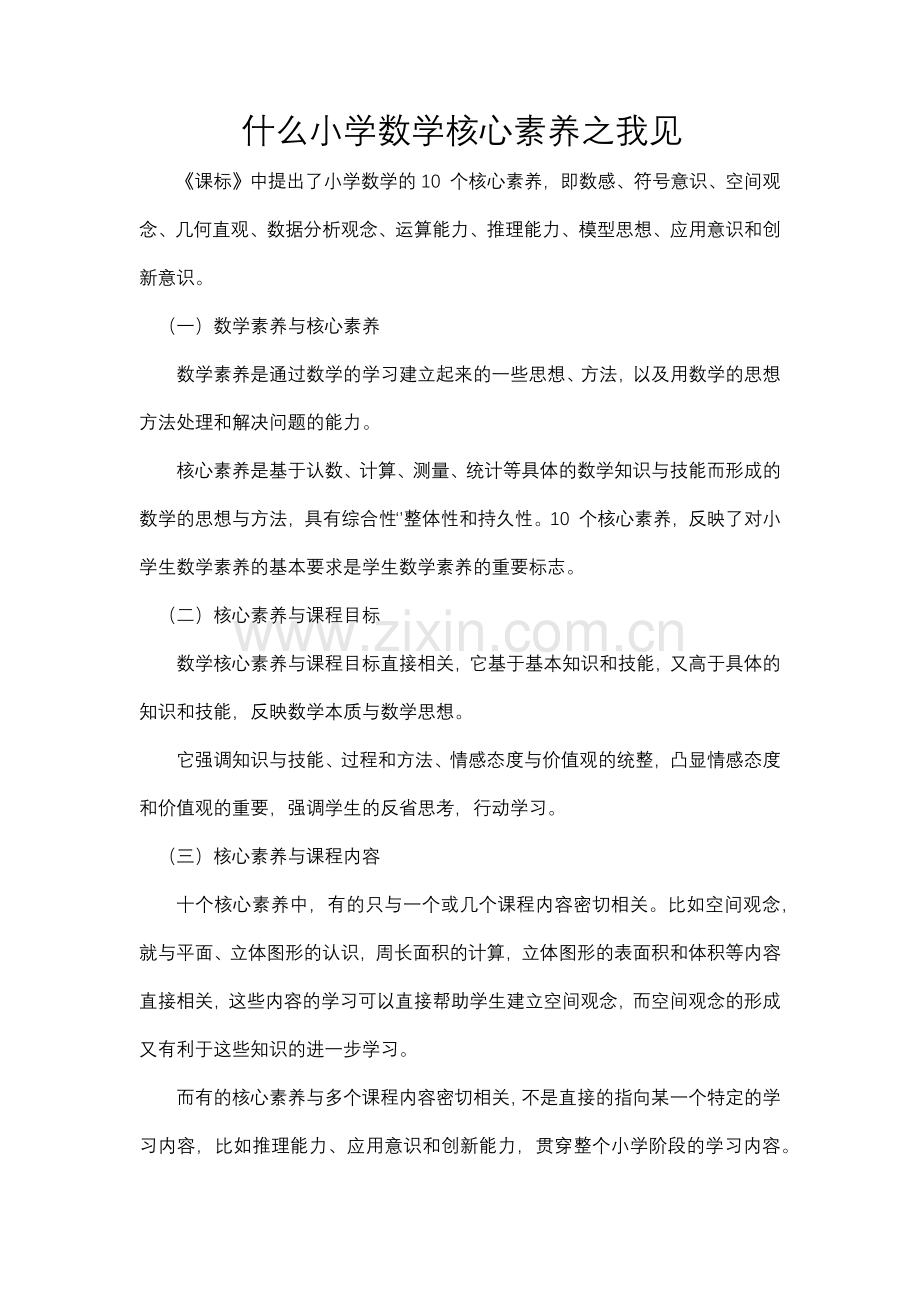 什么小学数学核心素养之我见.docx_第1页