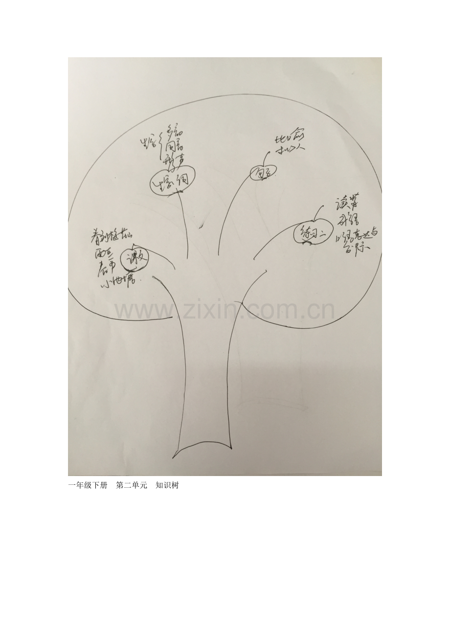 一年级下册第二单元知识树.doc_第1页