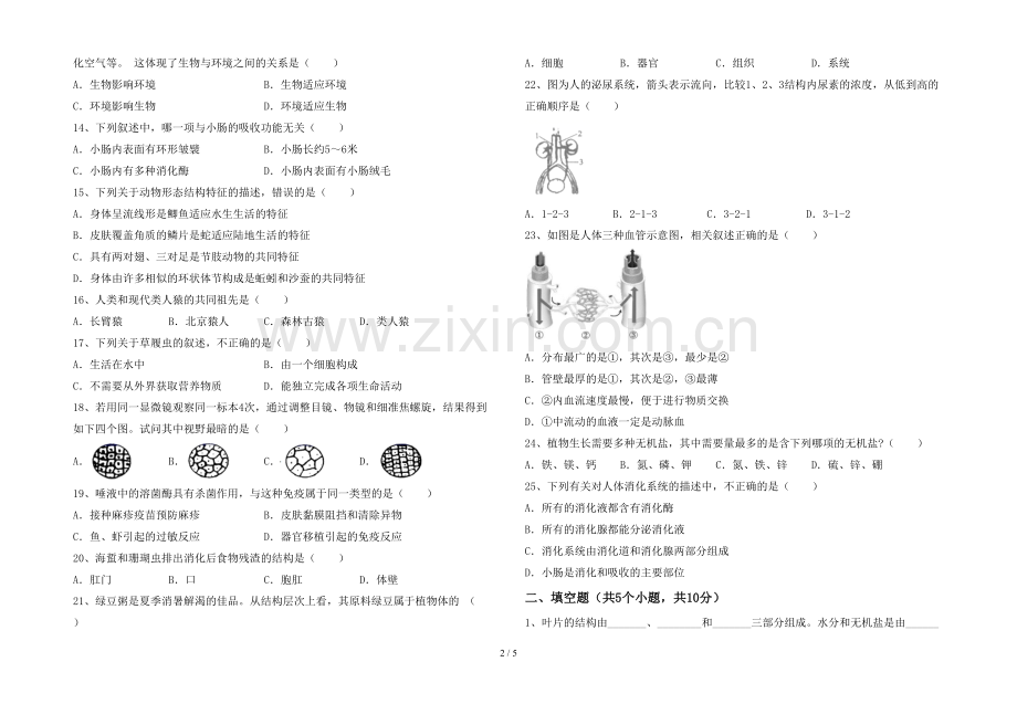 新人教版七年级上册《生物》期末考试题含答案.doc_第2页