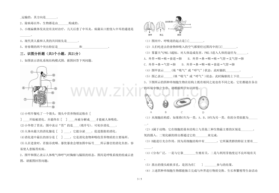 新人教版七年级上册《生物》期末考试题含答案.doc_第3页