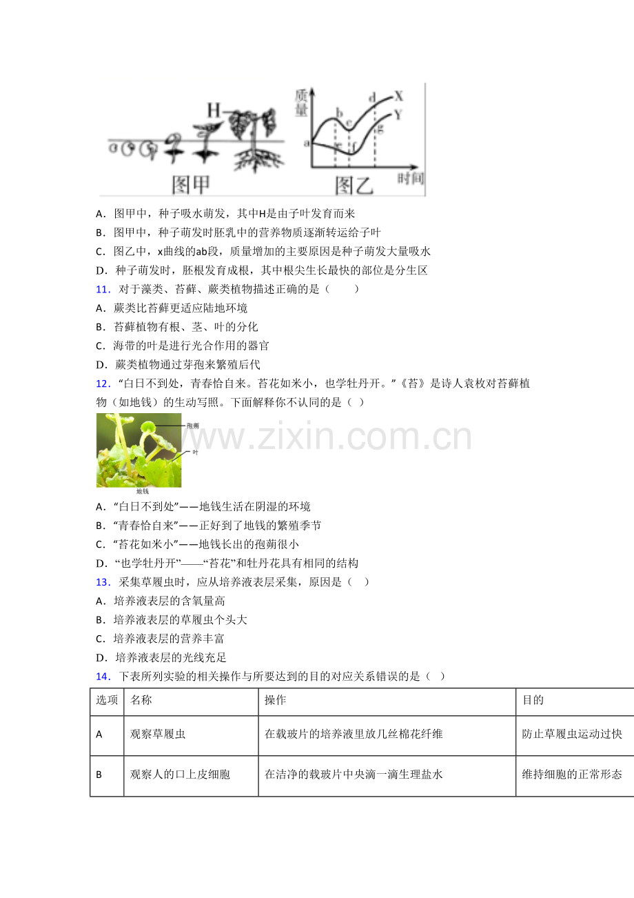 七年级上册期末生物检测试题含答案.doc_第3页