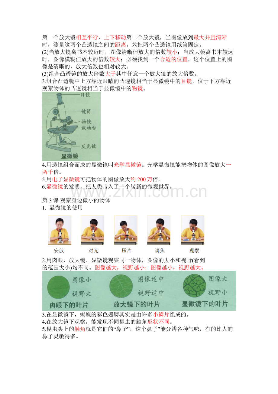 教科版小学科学六年级【上册】第一单元《微小世界》背背默默知识点整理详解.doc_第2页