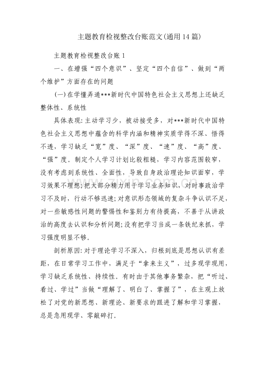 主题教育检视整改台账范文(通用14篇).pdf_第1页