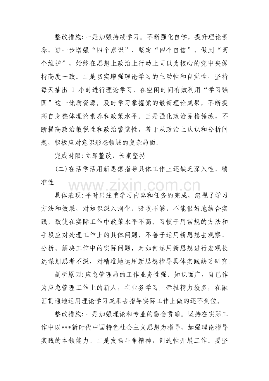 主题教育检视整改台账范文(通用14篇).pdf_第2页