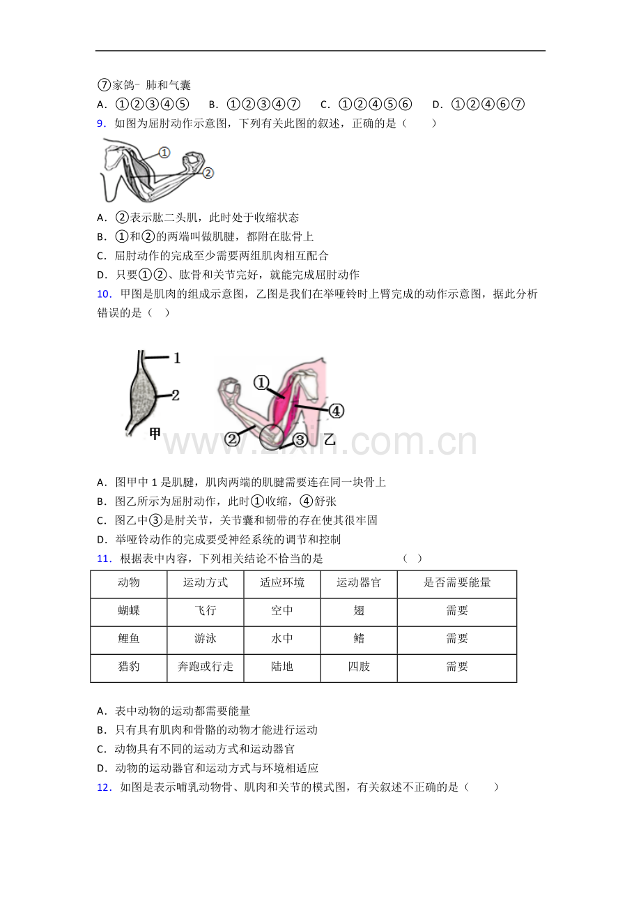 人教版八年级生物上册期中期中试卷及答案.doc_第2页