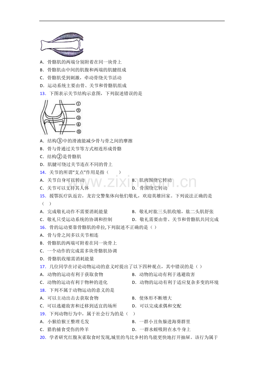 人教版八年级生物上册期中期中试卷及答案.doc_第3页