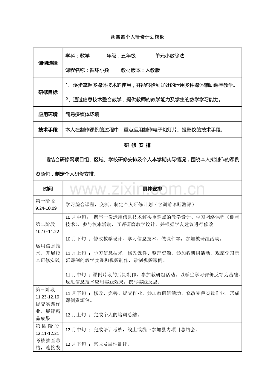 黎王丽个人研修计划.doc_第1页