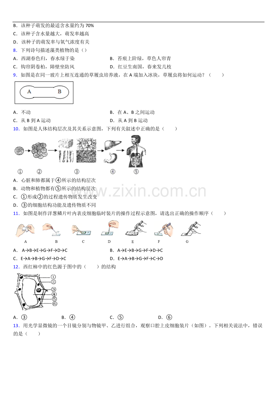 生物七年级上册期末生物期末试题及答案解答.doc_第2页